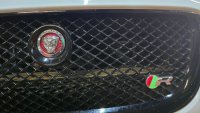 JAGUAR XJR